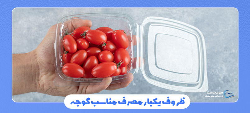 ظروف یکبار مصرف مناسب گوجه و سالاد