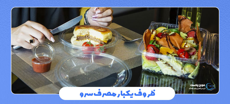 راهنمای جامع خرید ظروف یکبار مصرف