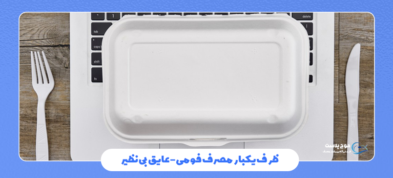 مزایا ظروف یکبار مصرف فومی