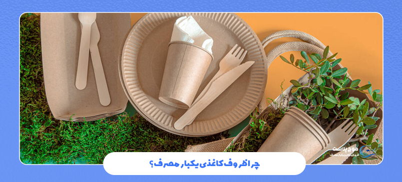 انواع ظروف کاغذی
