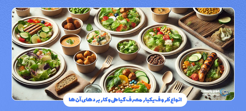 انواع ظروف یکبار مصرف گیاهی و کاربردهای آن‌ها