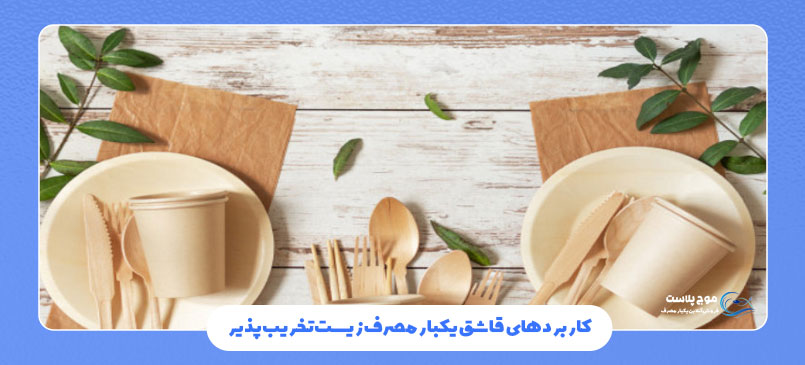 کاربردهای قاشق یکبار مصرف زیستتخریبپذیر