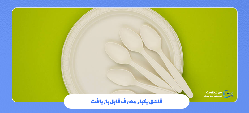 قاشق یکبار مصرف تجزیهپذیر