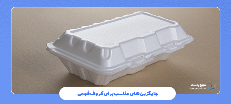جایگزین های مناسب برای ظروف فومی