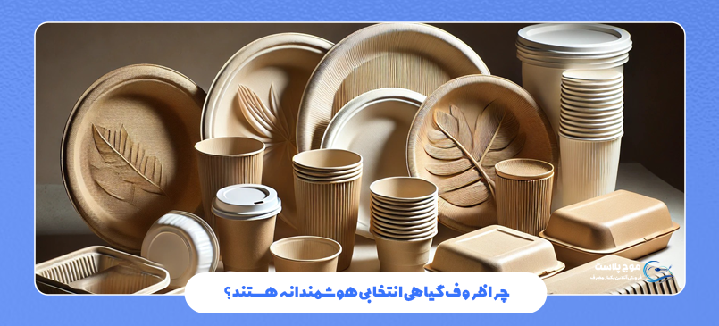 چرا ظروف گیاهی انتخابی هوشمندانه هستند؟
