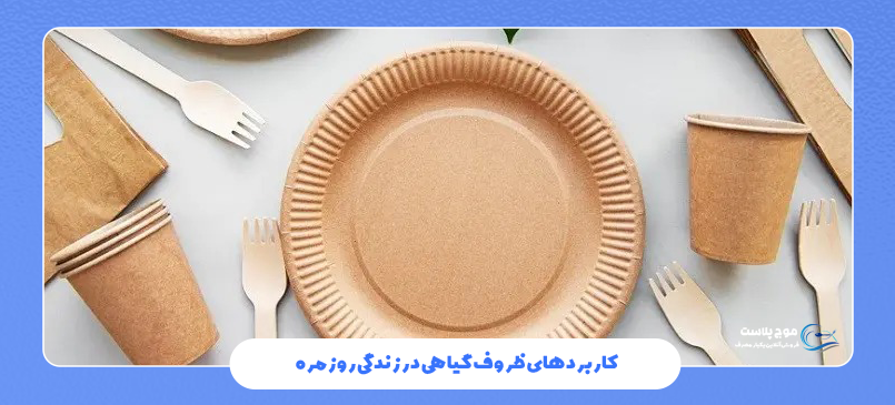 کاربردهای ظروف گیاهی در زندگی روزمره