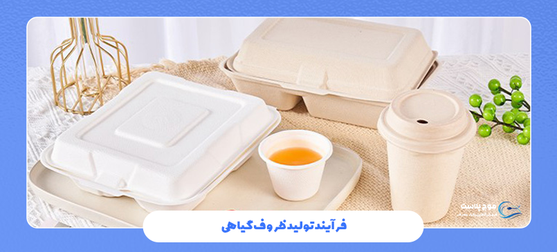 فرآیند تولید ظروف گیاهی