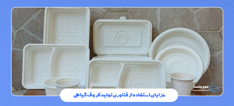 فرآیند تولید ظروف گیاهی