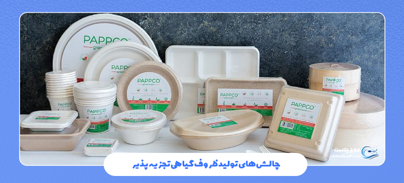 چالشهای تولید ظروف گیاهی تجزیه پذیر