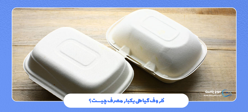 ظروف گیاهی یکبارمصرف چیست؟