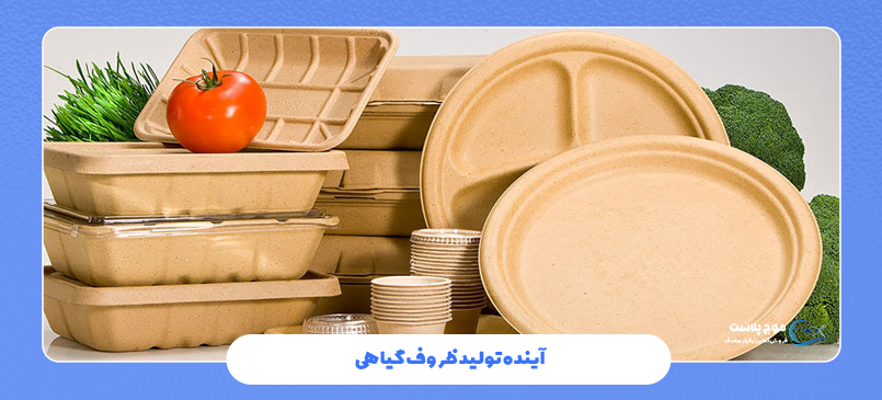 آینده تولید ظروف گیاهی