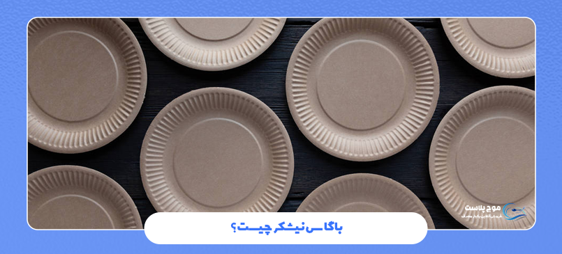 باگاس نیشکر چیست؟