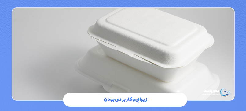 زیبایی و کاربردی بودن ظروف فومی