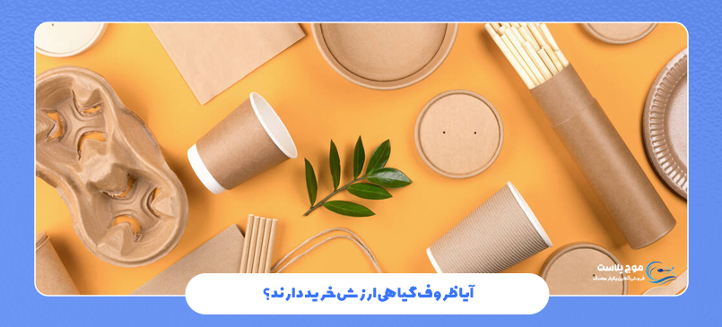 آیا ظروف گیاهی ارزش خرید دارند؟
