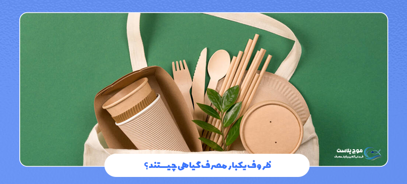 ظروف یکبار مصرف گیاهی چیستند؟