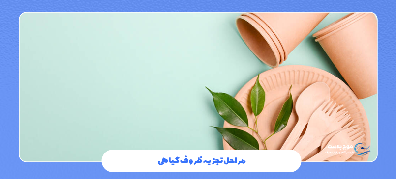 مراحل تجزیه ظروف گیاهی چیست