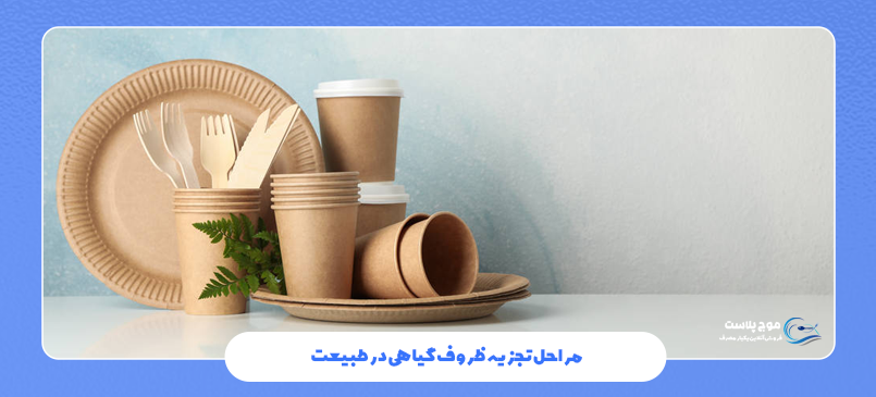 مراحل تجزیه ظروف گیاهی در طبیعت