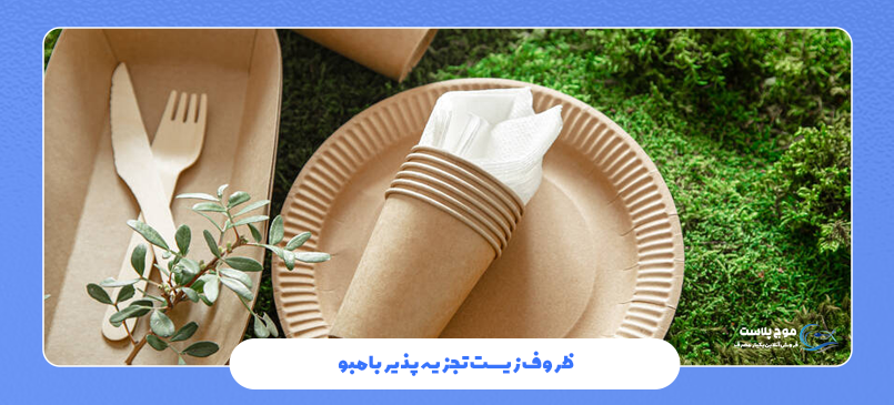 ظروف زیست تجزیه پذیر بامبو