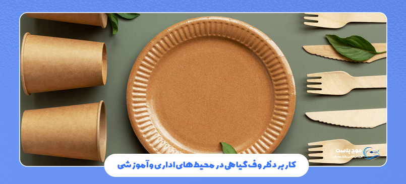 کاربرد ظروف گیاهی در محیط های اداری و آموزشی