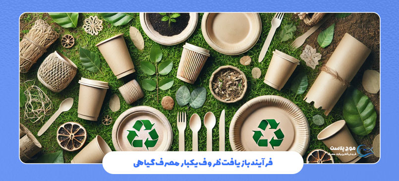 فرآیند بازیافت ظروف یکبار مصرف گیاهی