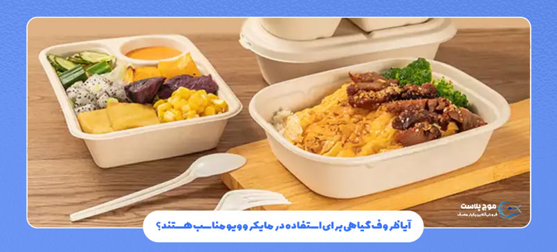 آیا ظروف گیاهی برای استفاده در مایکروویو مناسب هستند؟