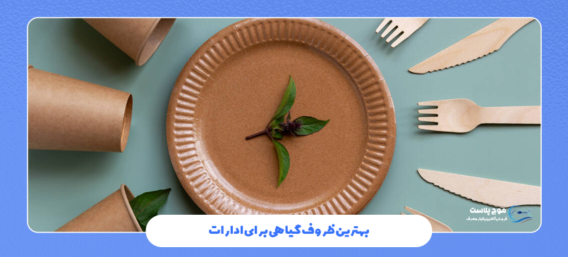 بهترین ظروف گیاهی برای ادارات