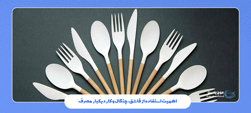 اهمیت استفاده از قاشق، چنگال و کارد یکبار مصرف
